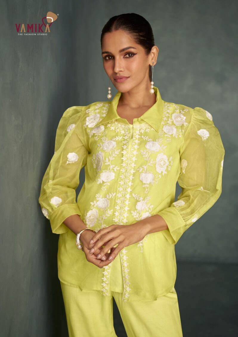 Vamika Rabya Vol 1  Co Ord Set Catalog collection 11